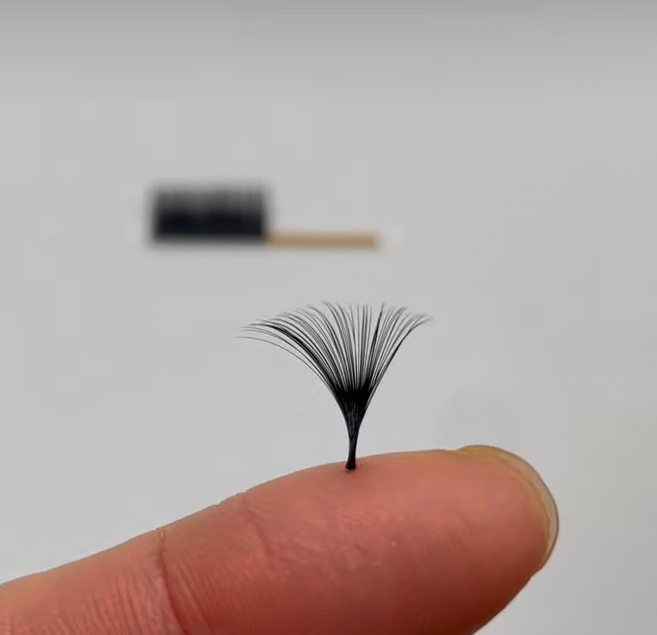 “Lash Money” Wholesale Manufacturer